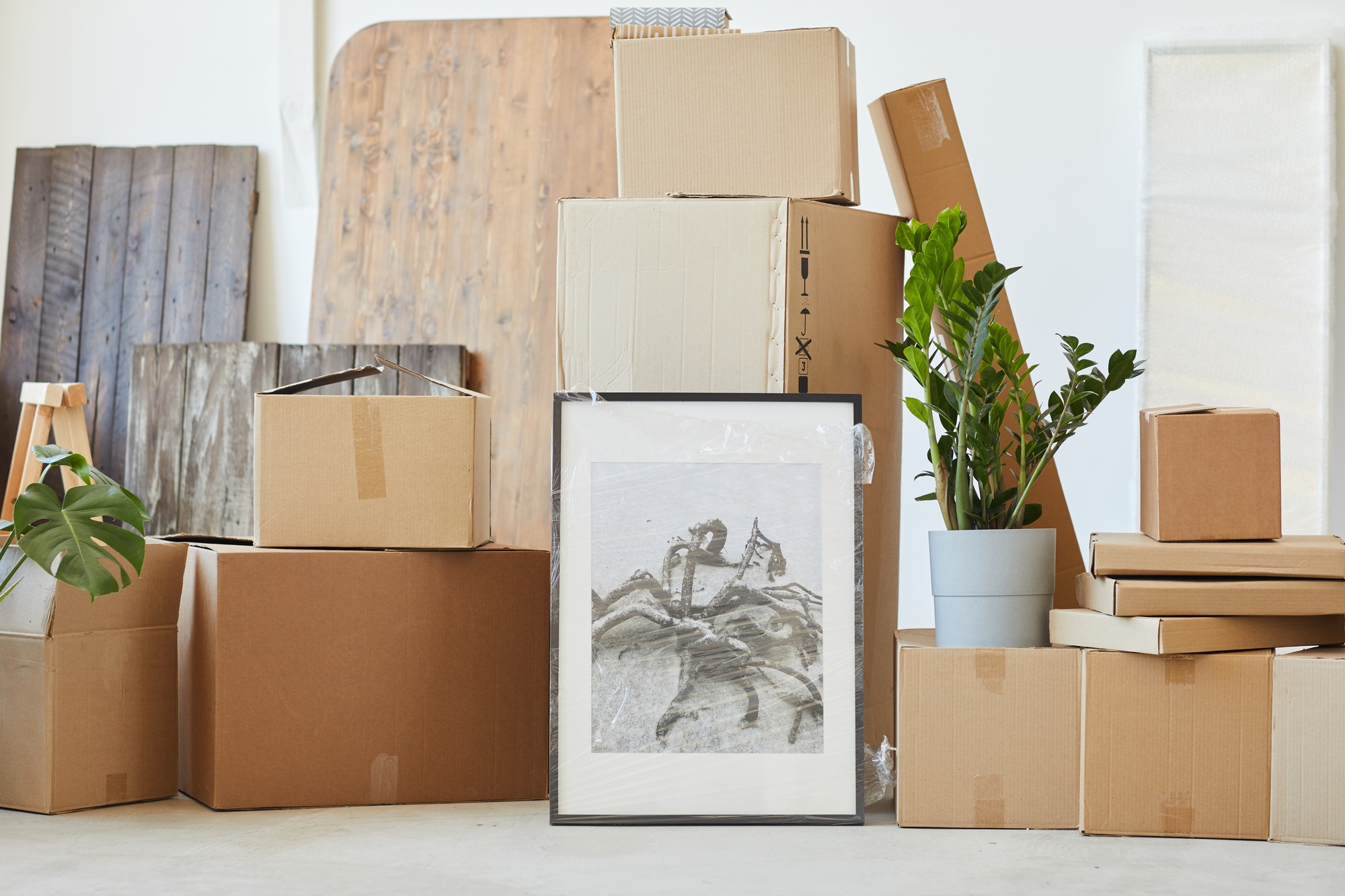 Packed things for relocation